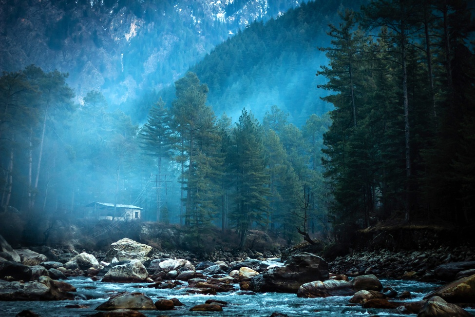Make The Most Of Your Workcation In Kasol